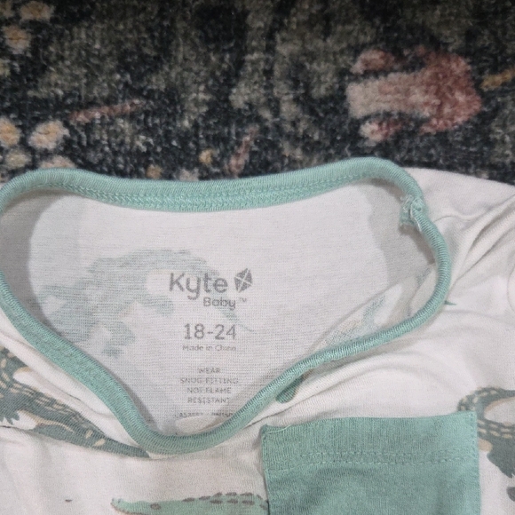 Kyte BABY Toddler Pajama Sets - Wasabi, Crocodile, Powder, and Popsicle - Picture 3 of 9